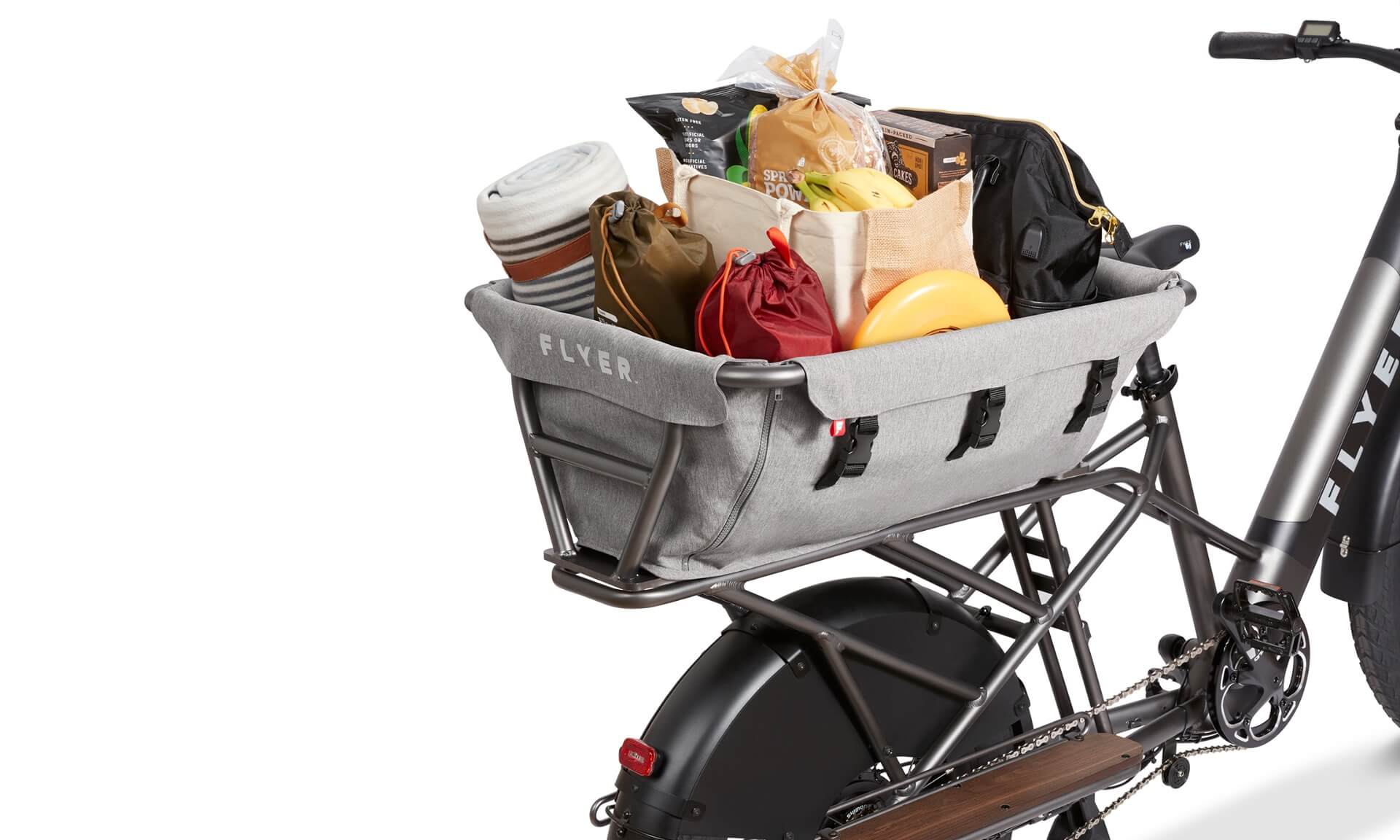 Kid & Cargo Carrier - 2 Kids - Image 4